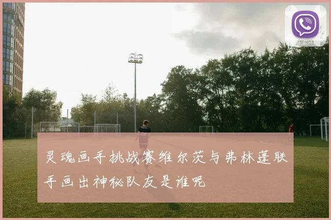 灵魂画手挑战赛维尔茨与弗林蓬联手画出神秘队友是谁呢
