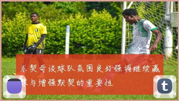 东契奇谈球队氛围良好强调继续赢球与增强默契的重要性